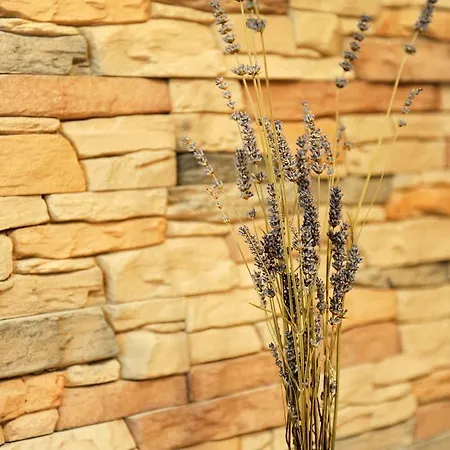 Апартаменти Little Cosy Задар