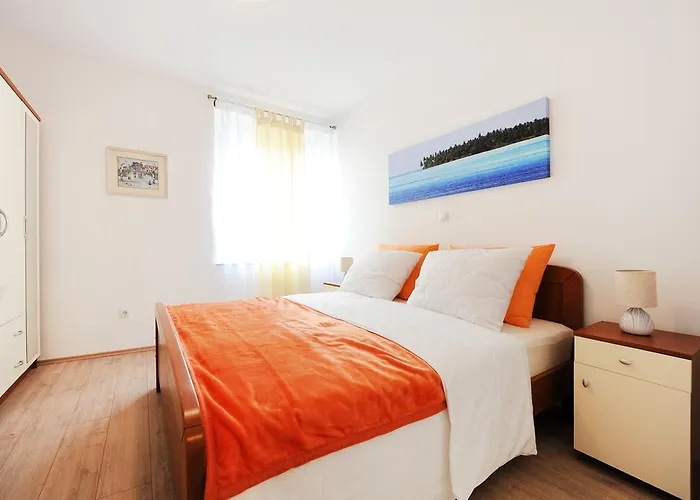 Little Cosy ザダル