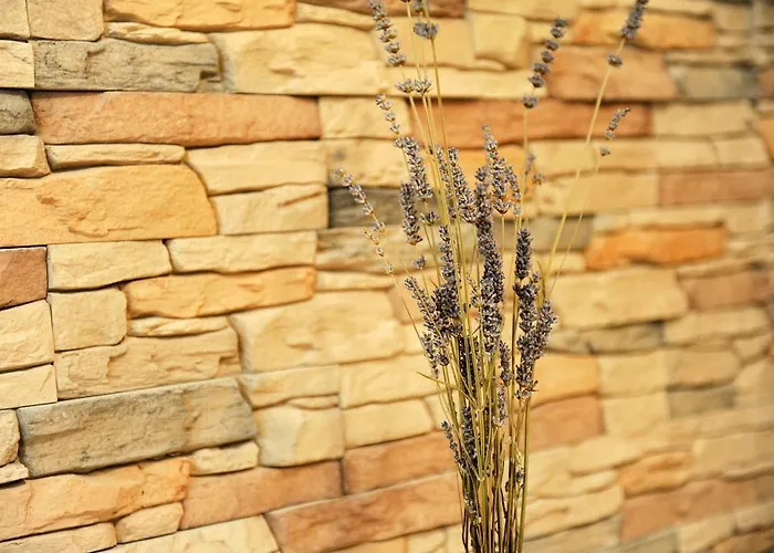 アパート Little Cosy ザダル